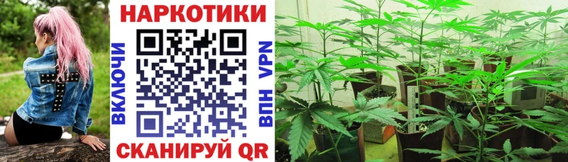 Наркошоп Отрадное Псилоцибиновые грибы МАРИХУАНА КОКАИН blacksprut ТОР ГАШИШ Alpha PVP Меф мяу мяу