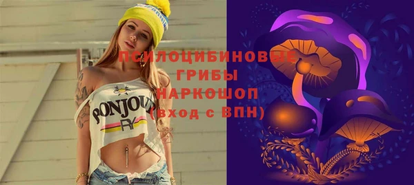 эйфоретик Алзамай