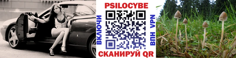 Галлюциногенные грибы Psilocybe  hydra вход  Отрадное 