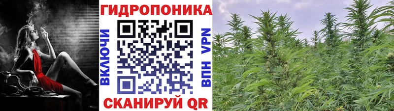 Бошки Шишки ГИДРОПОН блэк спрут Отрадное